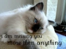 I Miss You<3