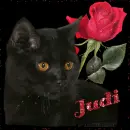 Black Cat and Red Rose {Judi}