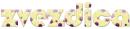 zvezdica