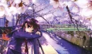 Pretty And Sad