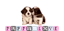 Puppy Love