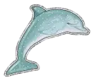 Dolphin 