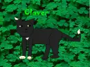 Cloverpatch
