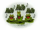 Hello-Frogs
