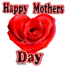 Happy Mothers Day- Red Rose