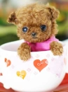 CHIBI PUPPY