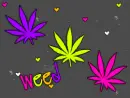 weed
