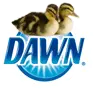 DawnSavesWildlife