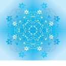 Blue Flowers