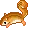 Squirrel Running
