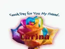 good day -- Carina