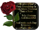 Friendship - Rose