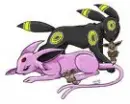 Happy Eevee family