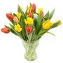 Spring Flowers