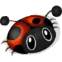 Lady Bug