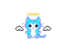 angle kitty