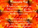 Friendship Tag