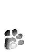 paw print