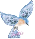 Dottie
