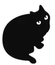 Black cat