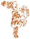 tigger