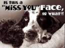 Miss u