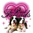 Best Freinds