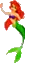 areil