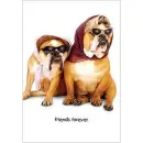 FRIENDS FOREVER