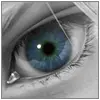 eye