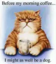 just give me coffee