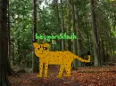 Leopardash