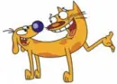 a doggish cat!