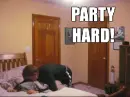 Party Hard!