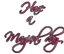 Have  a Magical day