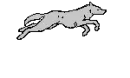 Runing Wolf