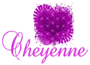 Cheyenne Purple Heart #2
