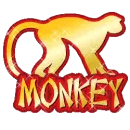 Chinese year of the:  Monkie