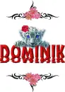 WHITE TIGER -- DOMINIK