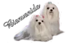 Bienvenidas