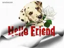 Friendship