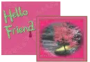  Hello Friend 