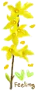 Korean Forsythia