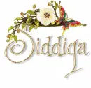 SIDDIQA