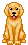 golden-retriver