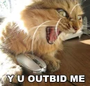 Y U Outbid Me!