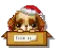 sad puppy