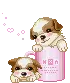 two puppies