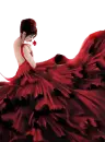 clavel rojo - red carnation