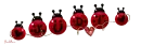 Judi